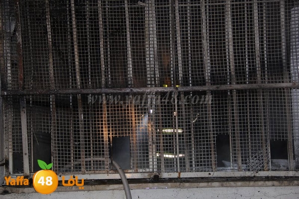 fire tomashin 0129 (9).JPG